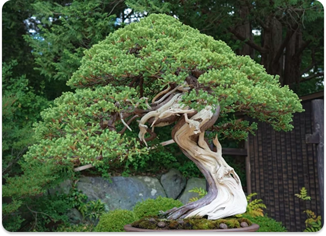Sứ Mệnh - Đồng Hành Cùng Thiên Nhiên