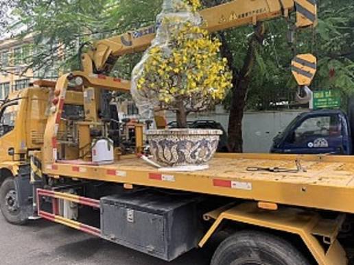 Quy trình giao cây tại Nhà Vườn Ba Phi