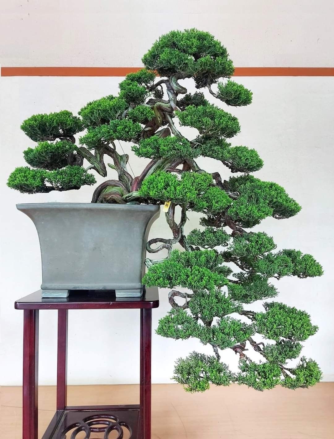 Đất trồng và dinh dưỡng