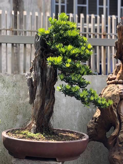 Lựa Chọn Phương Tiện Vận Chuyển Phù Hợp