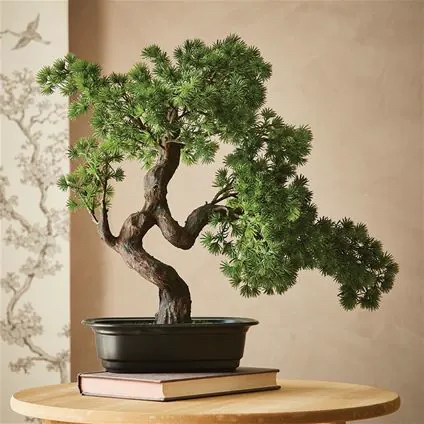 Ngoài Tùng, Nhà Vườn Ba Phi Còn Mang Đến Những Gì?